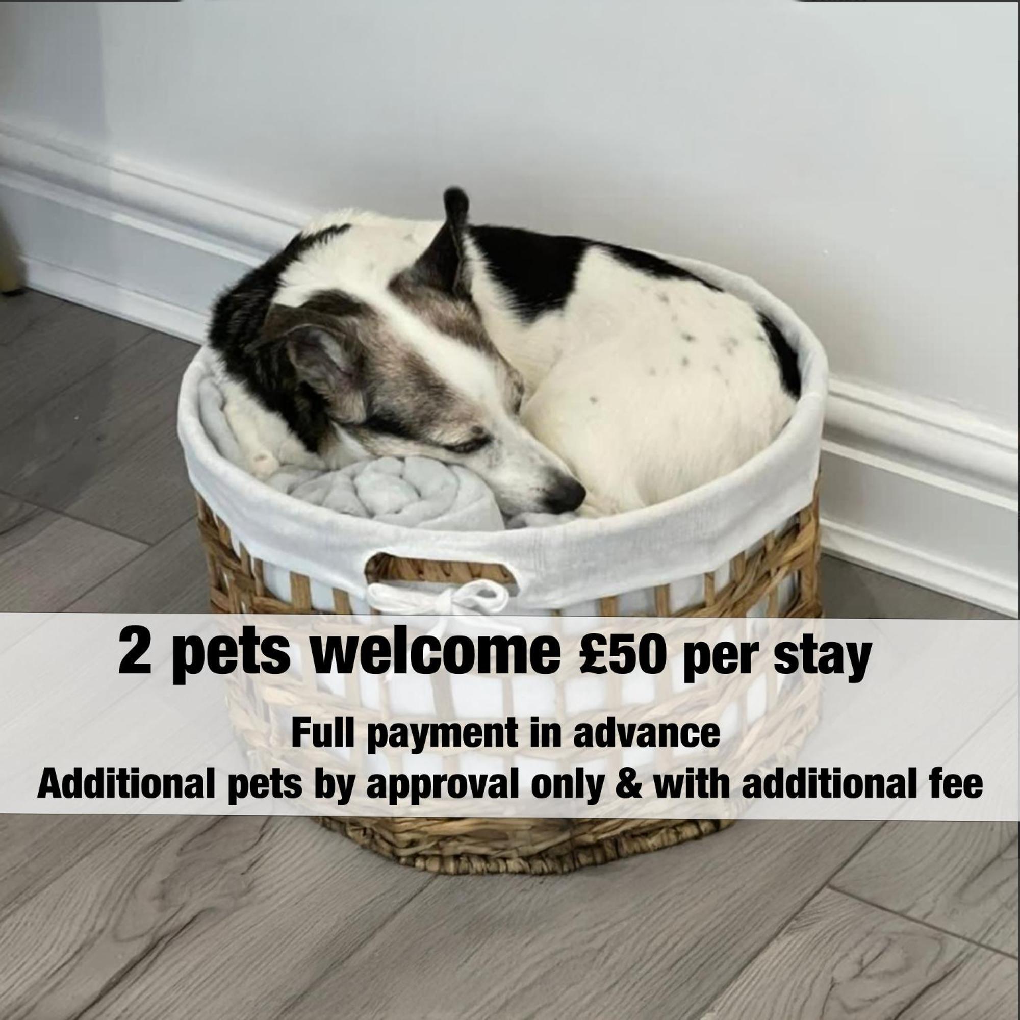 Norton Terrace Charming Home In The Beautiful Afan Forest By Staystaycations Port Talbot Ngoại thất bức ảnh